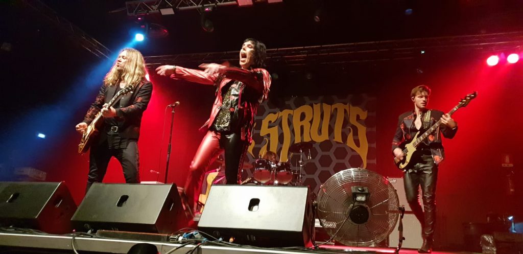 the struts