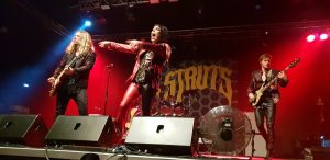 the struts